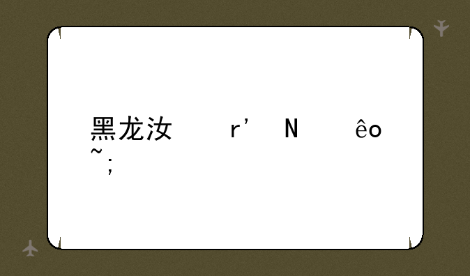 黑龙江有哪些城市