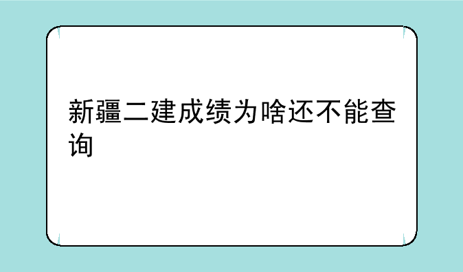 新疆二建成绩为啥还不能查询