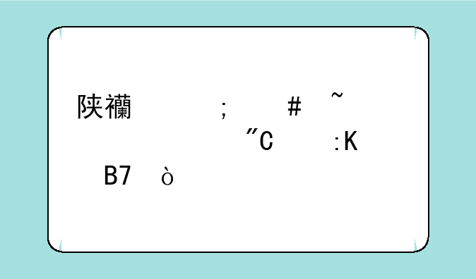 陕西怎么查询中考成绩排名？