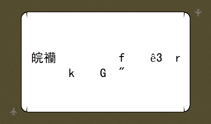 皖西学院二本多少分