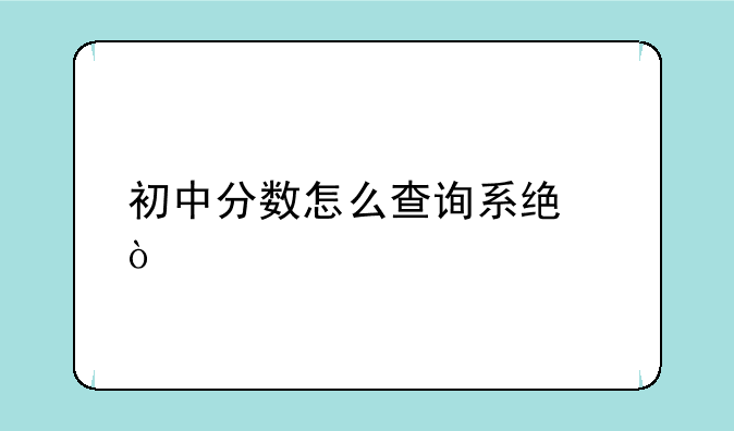 初中分数怎么查询系统？