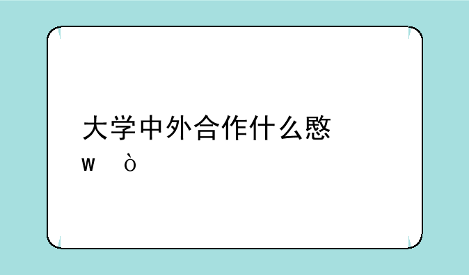 大学中外合作什么意思？