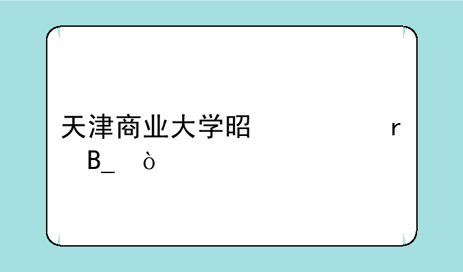 天津商业大学是一本吗？
