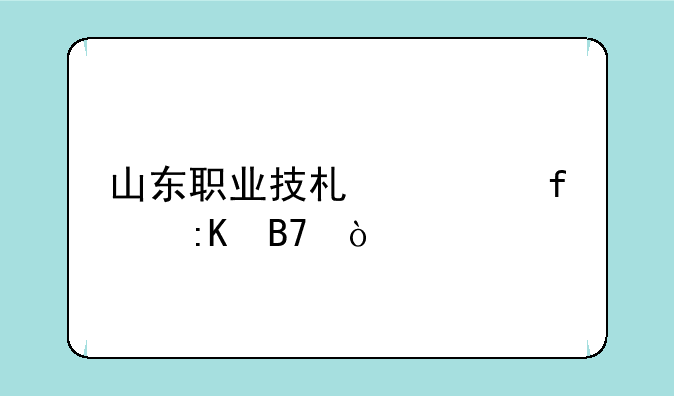 山东职业技术学院排名？