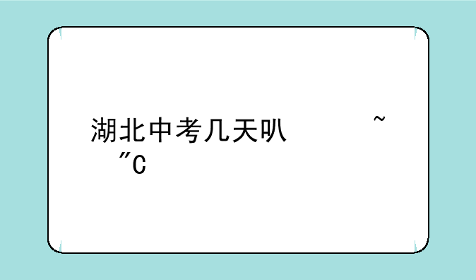 湖北中考几天可以查成绩
