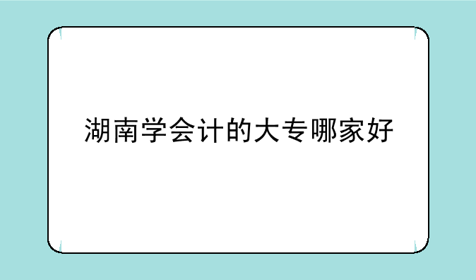 湖南学会计的大专哪家好