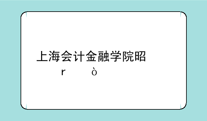上海会计金融学院是几本？