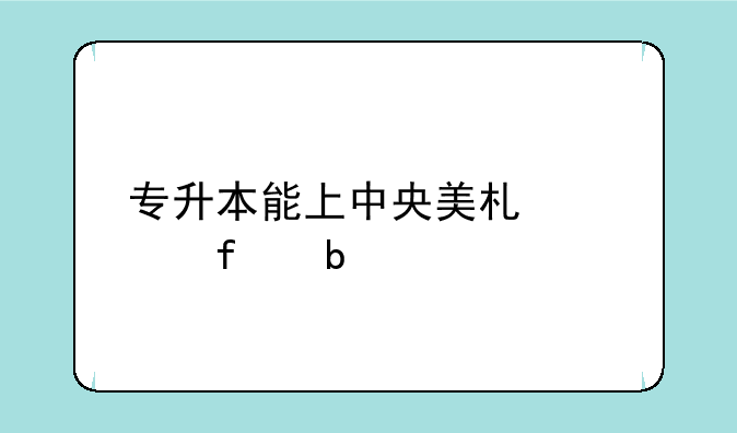 专升本能上中央美术学院嘛