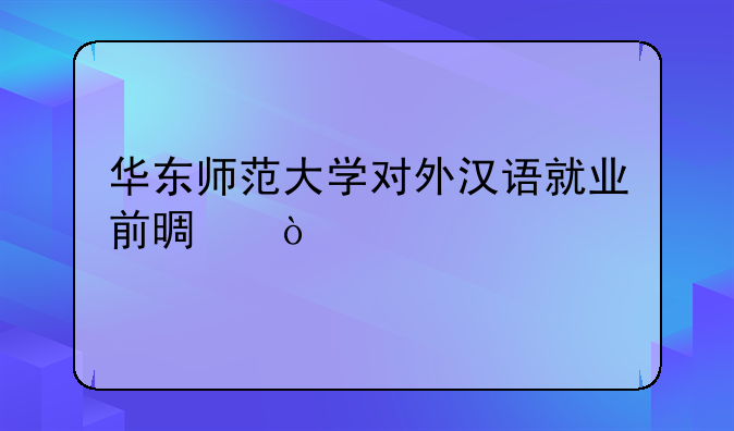 华东师范大学对外汉语就业前景？