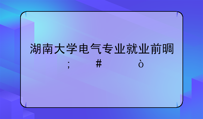 湖南大学电气专业就业前景怎么样？