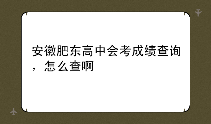 安徽肥东高中会考成绩查询，怎么查啊