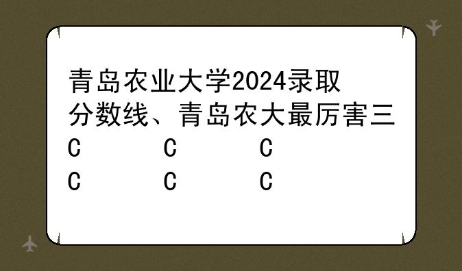 青岛农业大学2024录取分数线、青岛农大最厉害三个专业