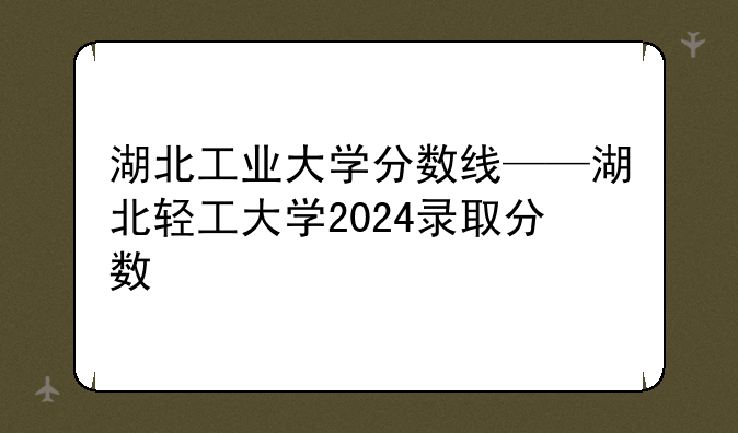 湖北工业大学分数线——湖北轻工大学2024录取分数