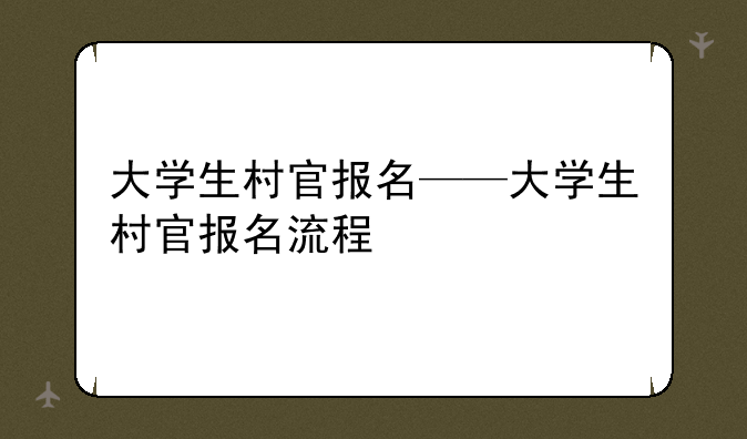 大学生村官报名——大学生村官报名流程